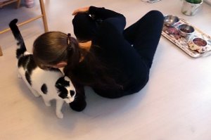 Brotherhoodoftheworldaward