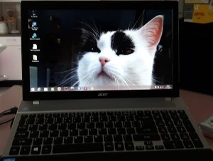 Brotherhoodoftheworldaward