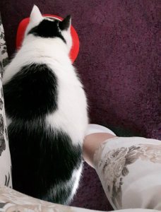 Brotherhoodoftheworldaward