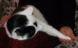 Brotherhoodoftheworldaward