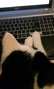 Brotherhoodoftheworldaward