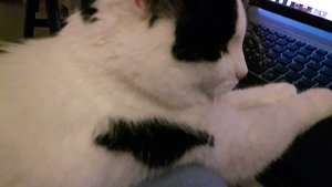 Brotherhoodoftheworldaward