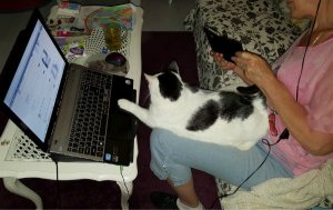 Brotherhoodoftheworldaward