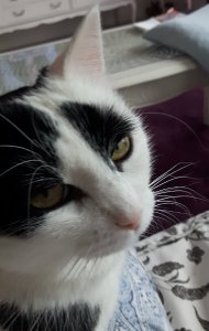 Brotherhoodoftheworldaward