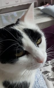 Brotherhoodoftheworldaward