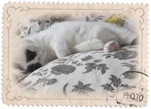 funny.pho.to_retro_stamp