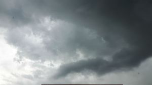 gardenactivitiescontinues