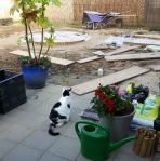 gardenactivitiescontinues