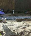 gardenactivitiescontinues