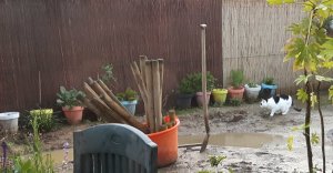 gardenactivitiescontinues