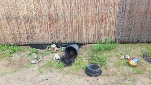 gardenactivitiescontinues