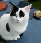 gardenactivitiescontinues