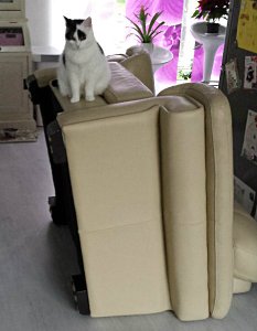 SundaySelfie24-7-2016