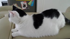 SundaySelfie24-7-2016