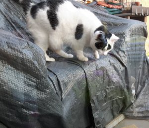 SundaySelfie24-7-2016