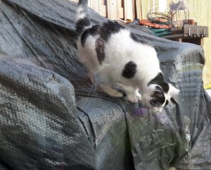 SundaySelfie24-7-2016