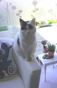 SundaySelfie24-7-2016