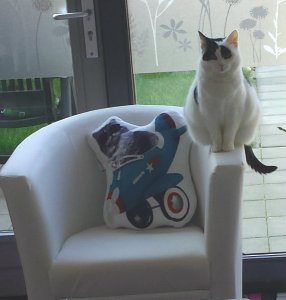 SundaySelfie24-7-2016