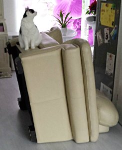 SundaySelfie24-7-2016