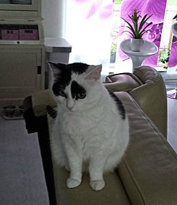 SundaySelfie24-7-2016