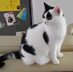 SundaySelfie24-7-2016