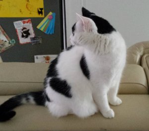 SundaySelfie24-7-2016