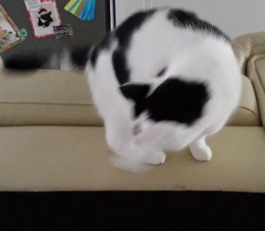 SundaySelfie24-7-2016