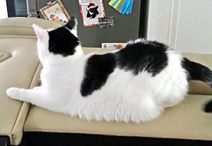 SundaySelfie24-7-2016