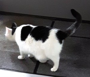 SundaySelfies10-7-2016