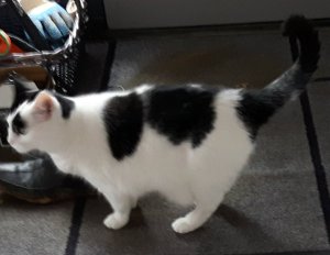 SundaySelfies10-7-2016