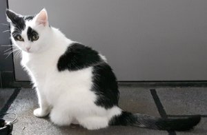 SundaySelfies10-7-2016