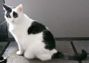 SundaySelfies10-7-2016