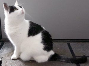 SundaySelfies10-7-2016