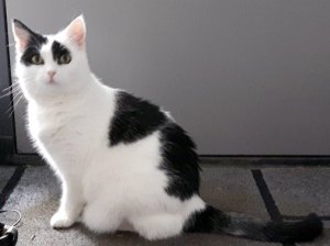 SundaySelfies10-7-2016