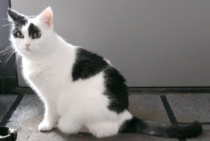 SundaySelfies10-7-2016