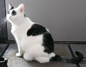 SundaySelfies10-7-2016