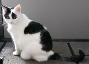 SundaySelfies10-7-2016