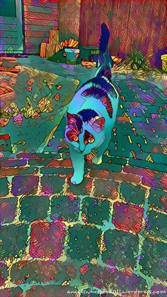 CaturdayArt20-8-2016