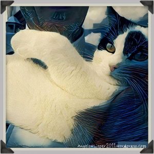 CaturdayArtBaby13-8-2016.1