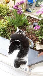 SundaySelfie14-8-2016