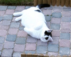 SundaySelfie14-8-2016