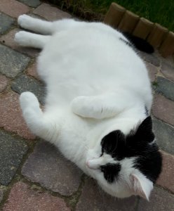 SundaySelfie14-8-2016