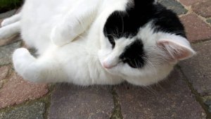 SundaySelfie14-8-2016