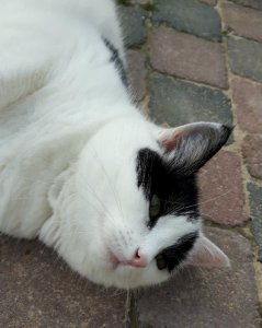 SundaySelfie14-8-2016