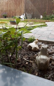 SundaySelfie14-8-2016