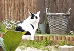 SundaySelfie14-8-2016