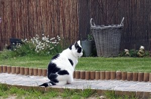 SundaySelfie14-8-2016