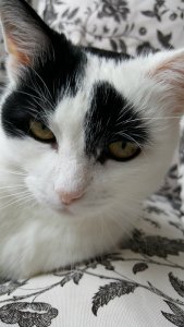 SundaySelfie5YearsBlogging