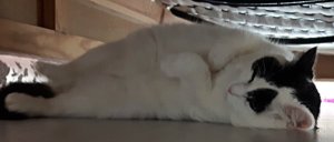 SundaySelfies21-8-2016