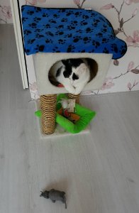 SundaySelfies7-8-2016